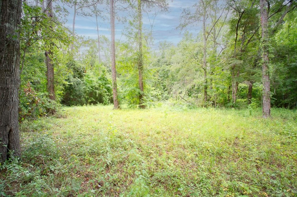 Photo of 576 Cox Road, Monticello, FL 32344 (MLS # 391743)