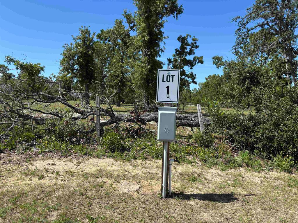 Photo of 2745 SEA OAKS Loop, Perry, FL 32348 (MLS # 394143)