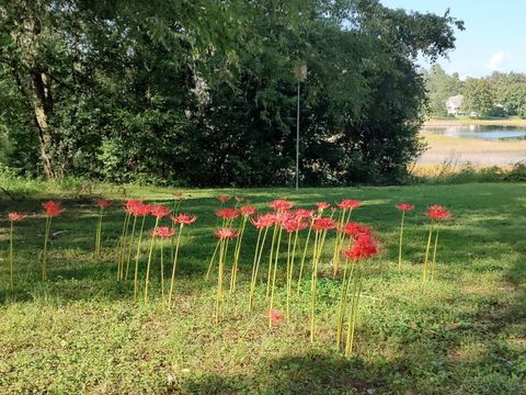 Tiny photo for 3132 Lookout Trail, Tallahassee, FL 32309 (MLS # 391772)