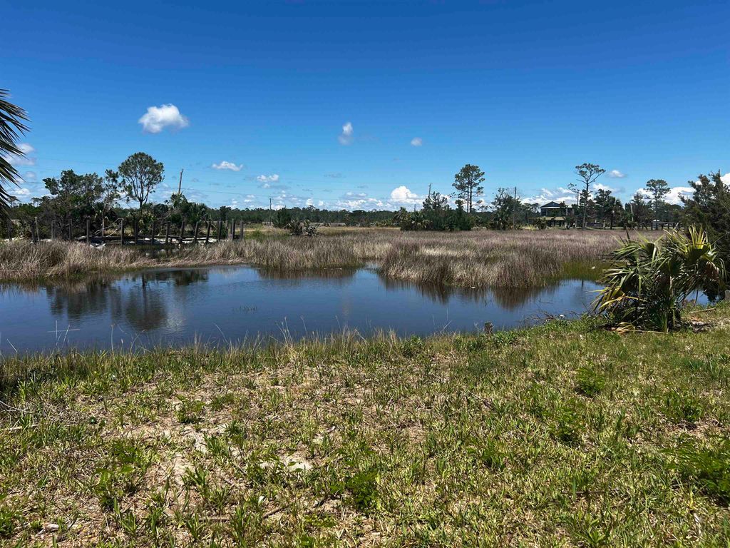 Photo of 1821 Ezell Beach Road, Keaton Beach, FL 32347 (MLS # 385942)