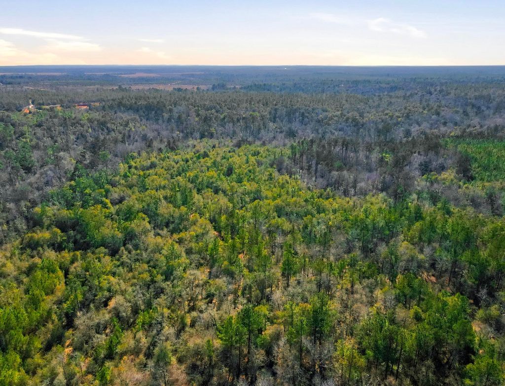 Photo of TBD Sycamore Road, Quincy, FL 32352 (MLS # 395898)