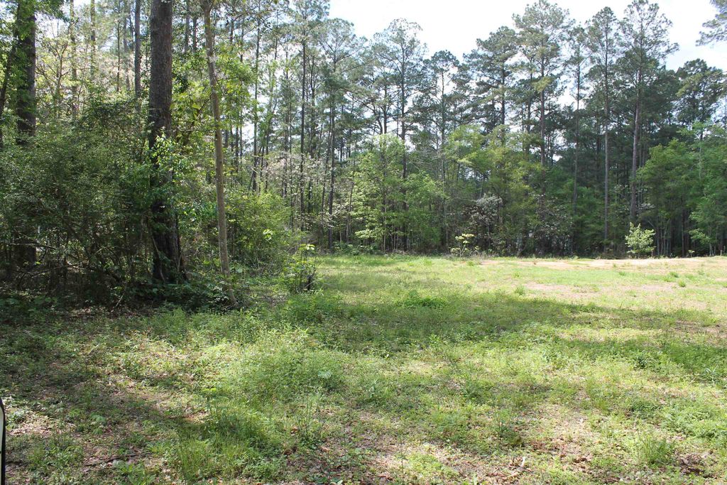Photo of 4400 ARGYLE LN Lane, Tallahassee, FL 32309 (MLS # 397825)