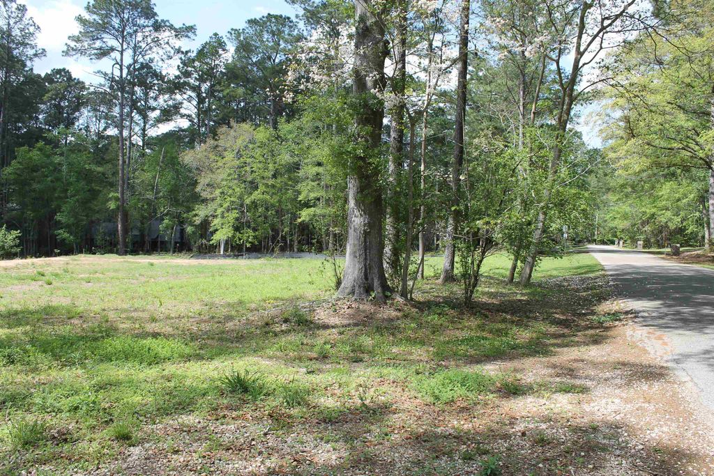 Photo of 4400 ARGYLE LN Lane, Tallahassee, FL 32309 (MLS # 397825)