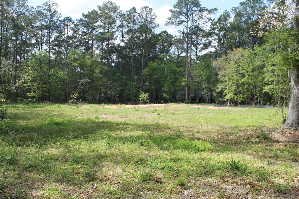 Photo of 4400 ARGYLE LN Lane, Tallahassee, FL 32309 (MLS # 397825)