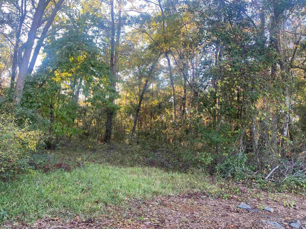 Photo of 0 Old St Augustine Road, Tallahassee, FL 32311 (MLS # 392582)
