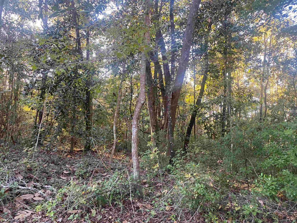 Photo of 0 Old St Augustine Road, Tallahassee, FL 32311 (MLS # 392582)