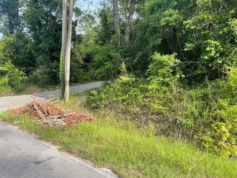 Photo of xxx Collins Landing #2, 5&6, Tallahassee, FL 32310 (MLS # 374629)