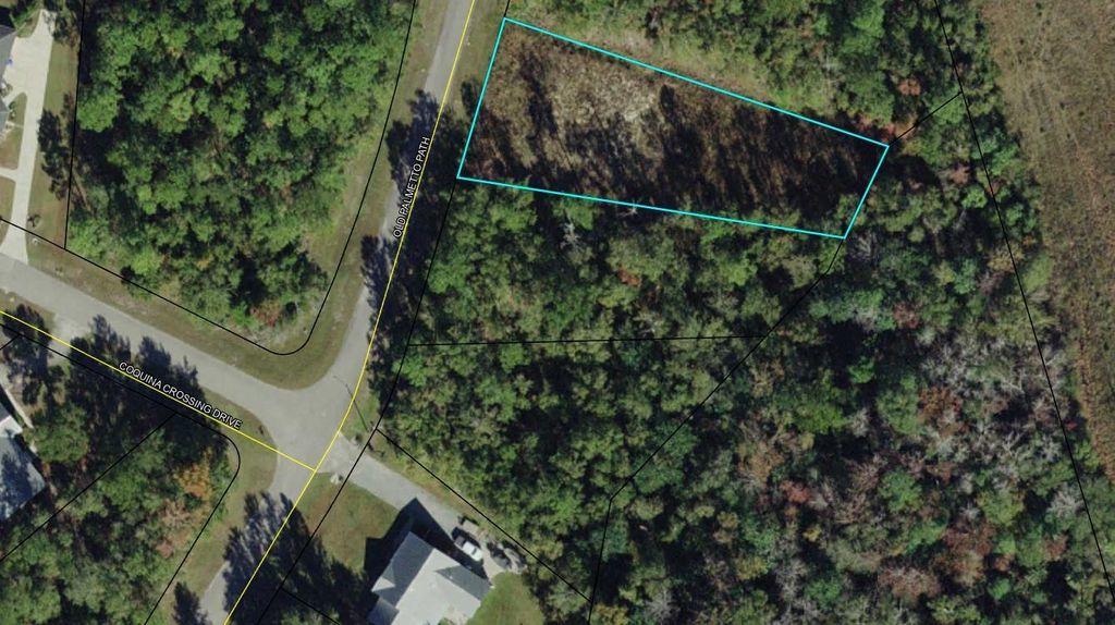 Photo of lot 70 Old Palmetto Path, St Marks, FL 32355 (MLS # 399974)