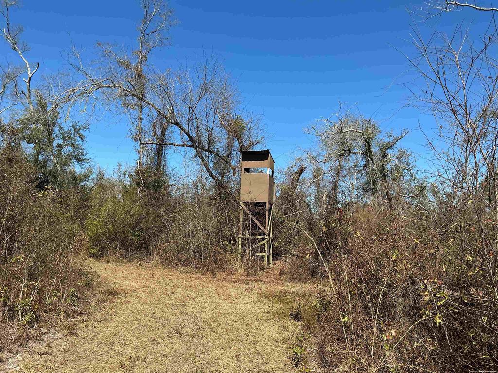 Photo of TBD SW Cow Road, Madison, FL 32340 (MLS # 396649)