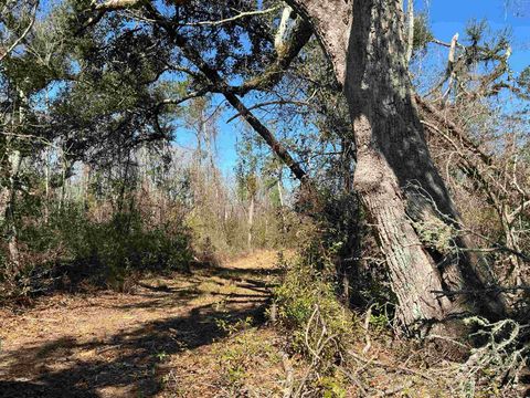 TBD SW Cow Road Madison FL 32340