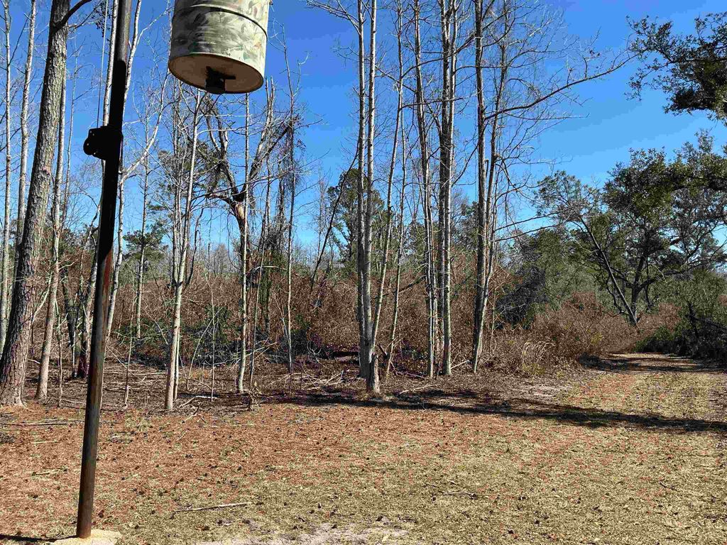 Photo of TBD SW Cow Road, Madison, FL 32340 (MLS # 396649)