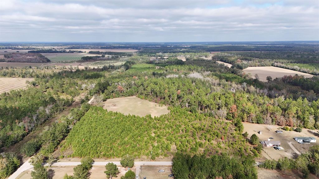 Photo of Vacant Cox Road, Quincy, FL 32351 (MLS # 393825)