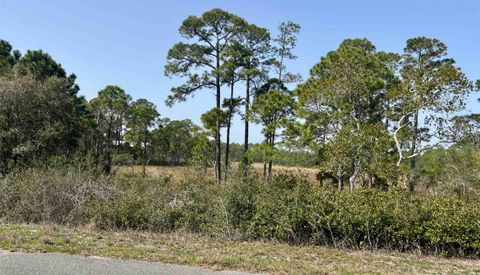 Photo of 643 & 647 Bald Point Road, Alligator Point, FL 32346 (MLS # 396844)