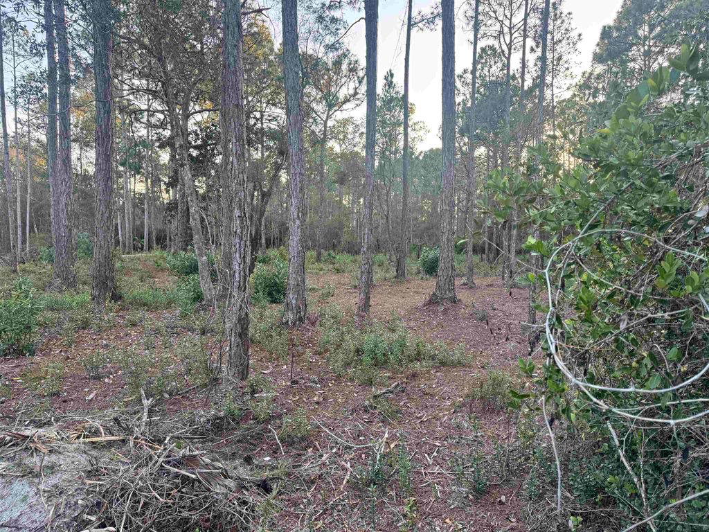 Photo of XXX No Address Street, Carrabelle, FL 32323 (MLS # 394611)