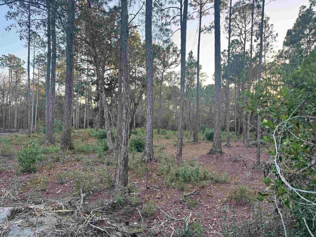 Photo of XXX No Address Street, Carrabelle, FL 32323 (MLS # 394611)