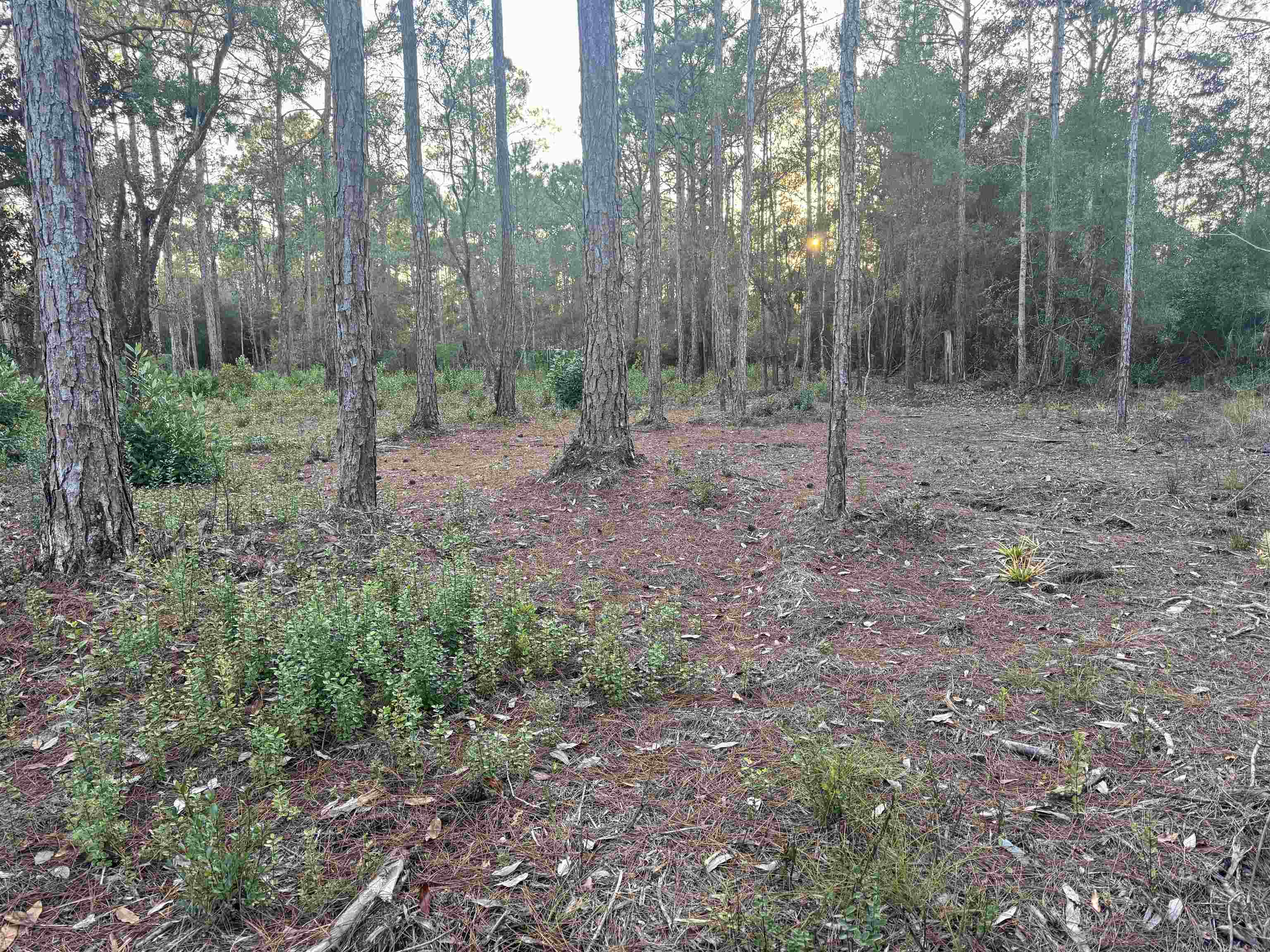 XXX No Address Street