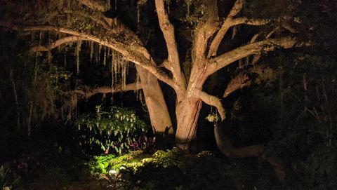 Tiny photo for 2912 Quail Rise Court, Tallahassee, FL 32309 (MLS # 398094)