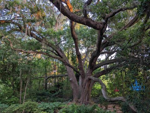 Tiny photo for 2912 Quail Rise Court, Tallahassee, FL 32309 (MLS # 398094)