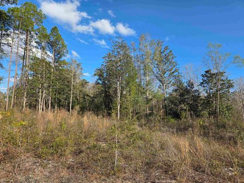 Tiny photo for xxx NE E SR 20, Hosford, FL 32334 (MLS # 396914)