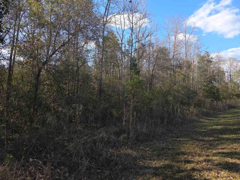 Tiny photo for xxx NE E SR 20, Hosford, FL 32334 (MLS # 396914)