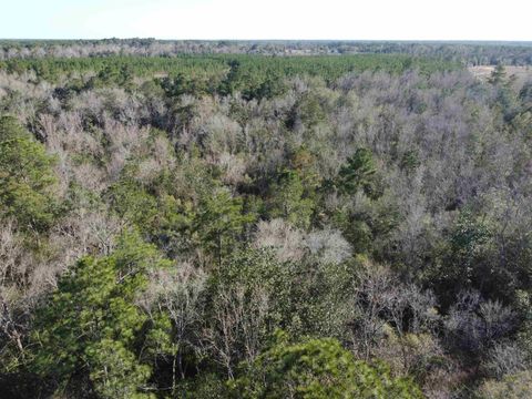 Tiny photo for xxx NE E SR 20, Hosford, FL 32334 (MLS # 396914)