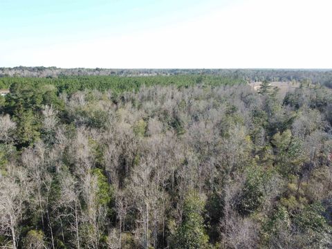 Tiny photo for xxx NE E SR 20, Hosford, FL 32334 (MLS # 396914)