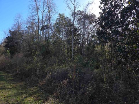 Tiny photo for xxx NE E SR 20, Hosford, FL 32334 (MLS # 396914)