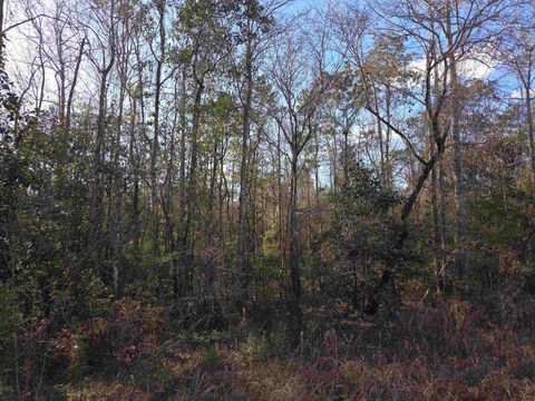 Tiny photo for xxx NE E SR 20, Hosford, FL 32334 (MLS # 396914)