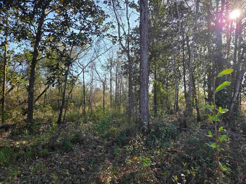 Tiny photo for xxx NE E SR 20, Hosford, FL 32334 (MLS # 396914)