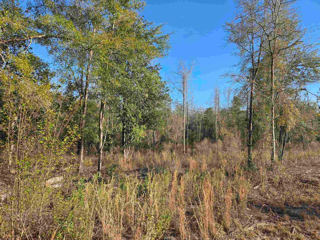 Photo of xxx NE E SR 20, Hosford, FL 32334 (MLS # 396914)