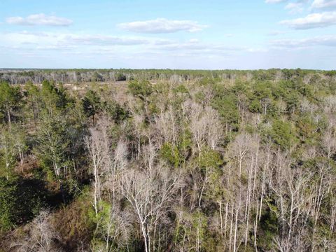 Tiny photo for xxx NE E SR 20, Hosford, FL 32334 (MLS # 396914)