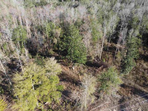Tiny photo for xxx NE E SR 20, Hosford, FL 32334 (MLS # 396914)