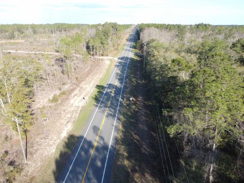 Tiny photo for xxx NE E SR 20, Hosford, FL 32334 (MLS # 396914)