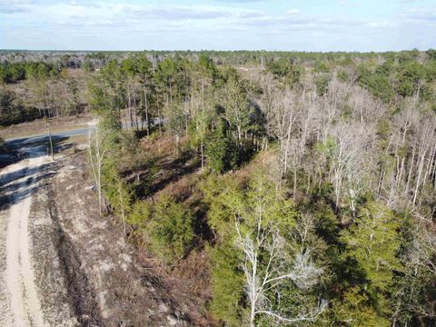 Tiny photo for xxx NE E SR 20, Hosford, FL 32334 (MLS # 396914)