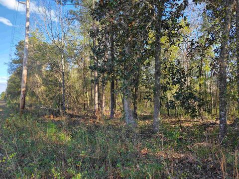 Tiny photo for xxx NE E SR 20, Hosford, FL 32334 (MLS # 396914)