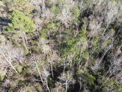 Tiny photo for xxx NE E SR 20, Hosford, FL 32334 (MLS # 396914)