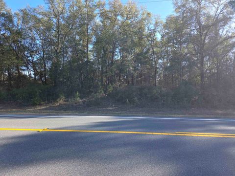 Tiny photo for xxx NE E SR 20, Hosford, FL 32334 (MLS # 396914)