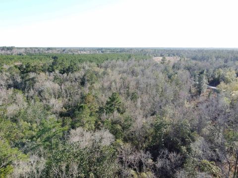 Tiny photo for xxx NE E SR 20, Hosford, FL 32334 (MLS # 396914)