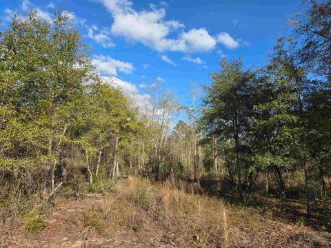 Tiny photo for xxx NE E SR 20, Hosford, FL 32334 (MLS # 396914)