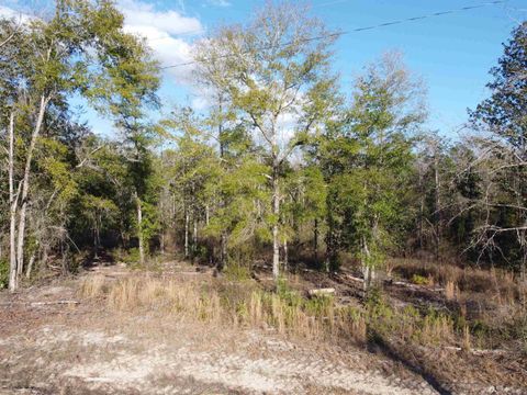 Tiny photo for xxx NE E SR 20, Hosford, FL 32334 (MLS # 396914)