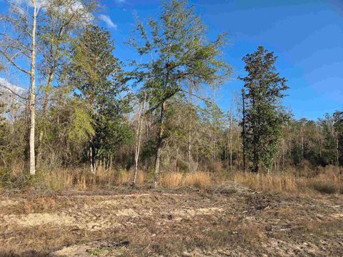Tiny photo for xxx NE E SR 20, Hosford, FL 32334 (MLS # 396914)