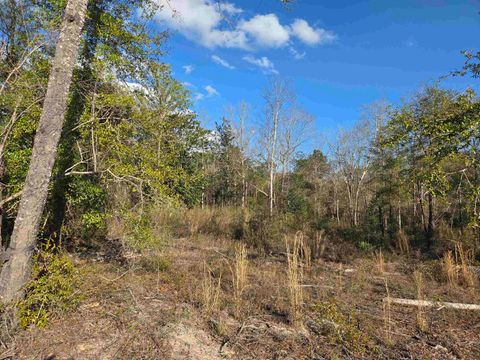 Tiny photo for xxx NE E SR 20, Hosford, FL 32334 (MLS # 396914)