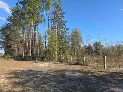 Tiny photo for xxx NE E SR 20, Hosford, FL 32334 (MLS # 396914)