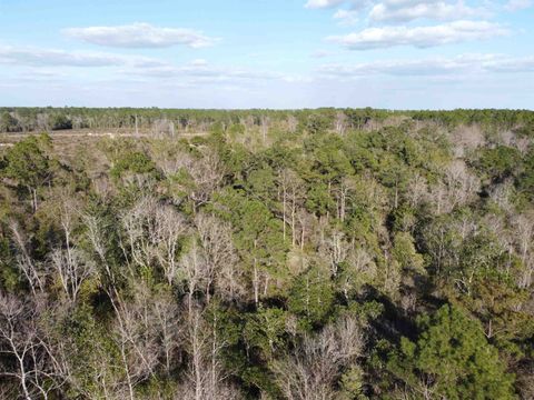 Tiny photo for xxx NE E SR 20, Hosford, FL 32334 (MLS # 396914)