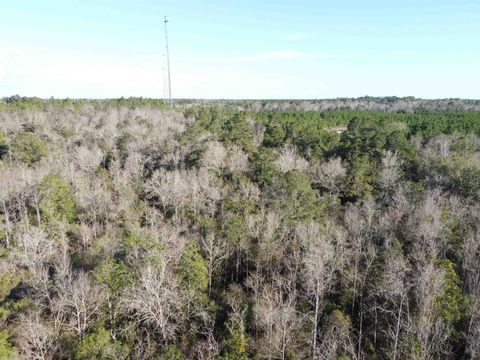 Tiny photo for xxx NE E SR 20, Hosford, FL 32334 (MLS # 396914)