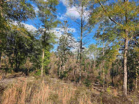 Tiny photo for xxx NE E SR 20, Hosford, FL 32334 (MLS # 396914)