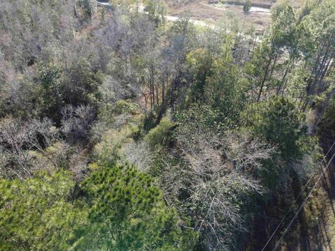 Tiny photo for xxx NE E SR 20, Hosford, FL 32334 (MLS # 396914)
