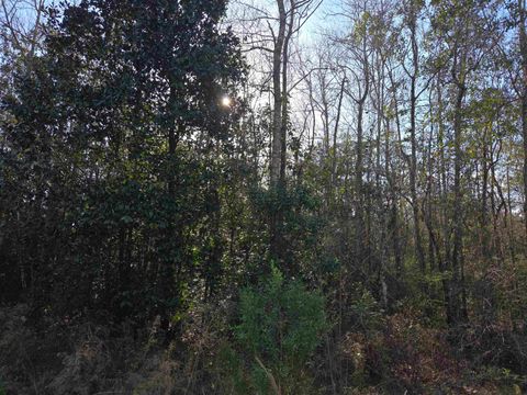 Tiny photo for xxx NE E SR 20, Hosford, FL 32334 (MLS # 396914)