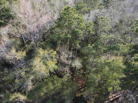 Tiny photo for xxx NE E SR 20, Hosford, FL 32334 (MLS # 396914)