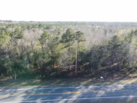 Tiny photo for xxx NE E SR 20, Hosford, FL 32334 (MLS # 396914)